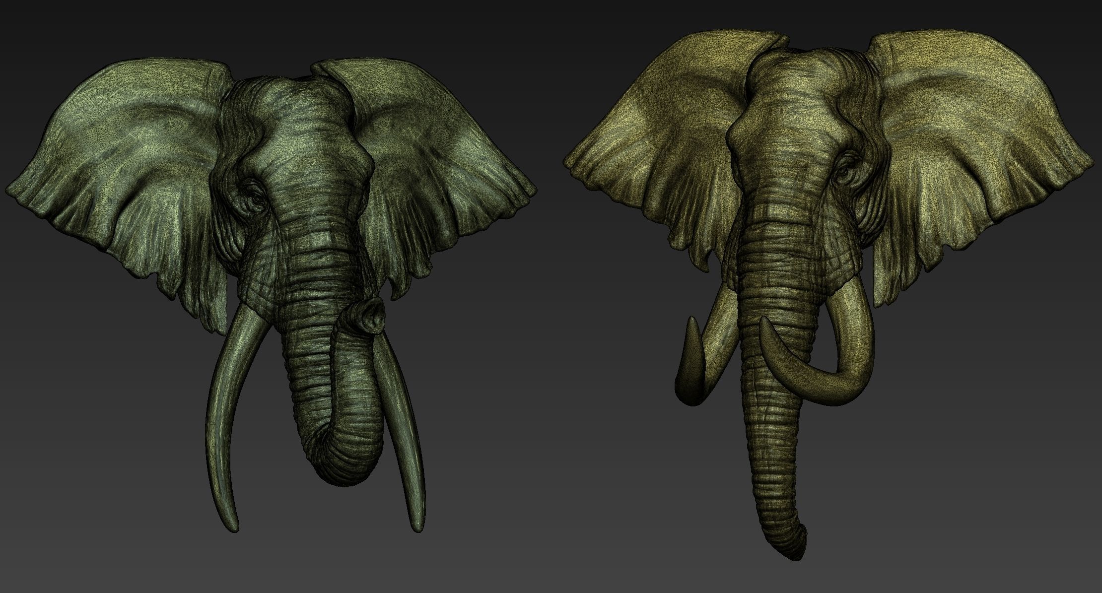 Elephant Head  Two Stye 3D print model_5