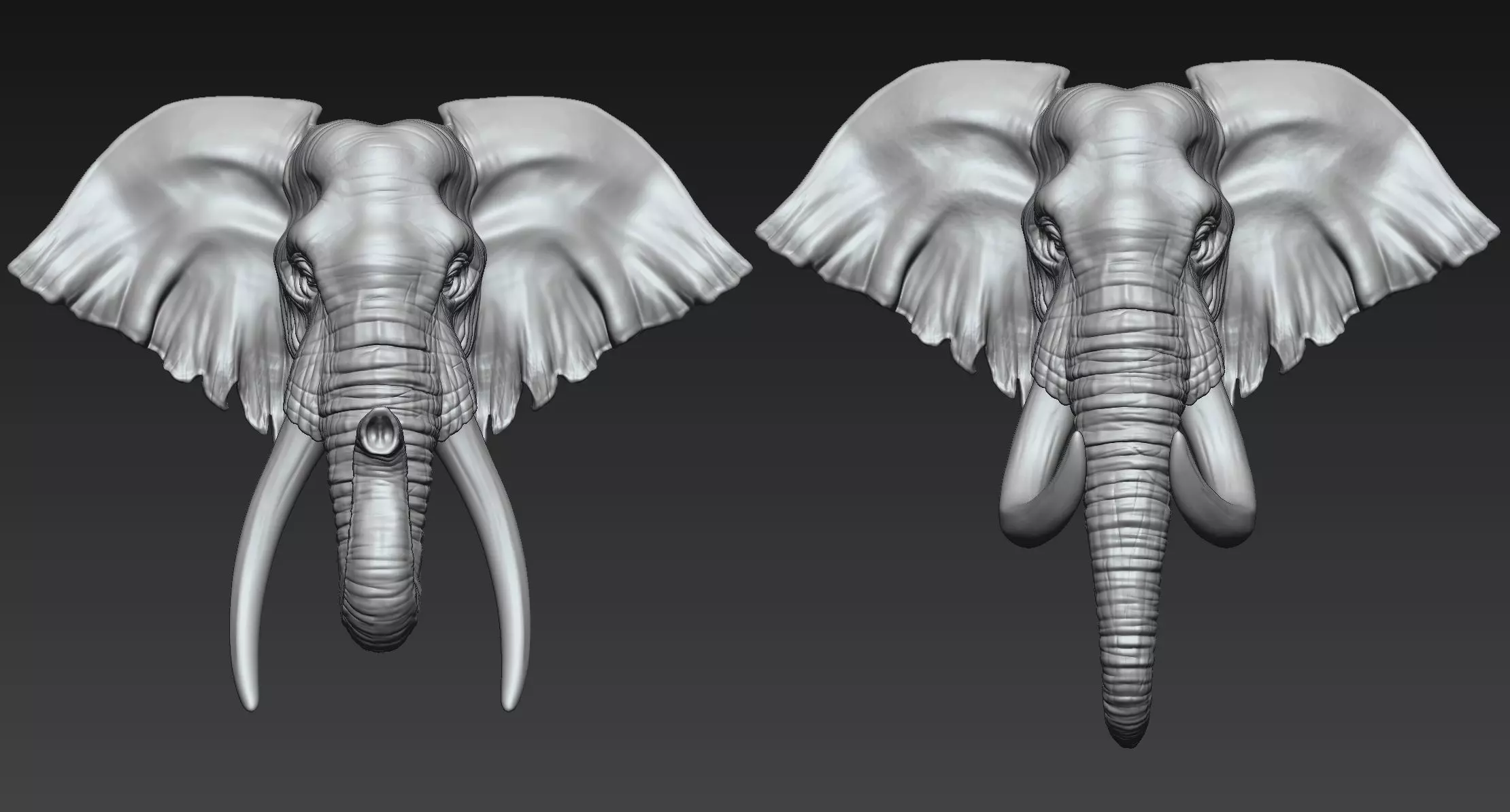 Elephant Head  Two Stye 3D print model_0