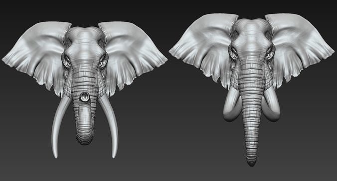 Elephant Head  Two Stye 3D print model