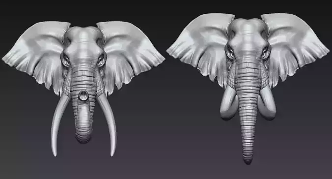 Elephant Head  Two Stye 3D print model