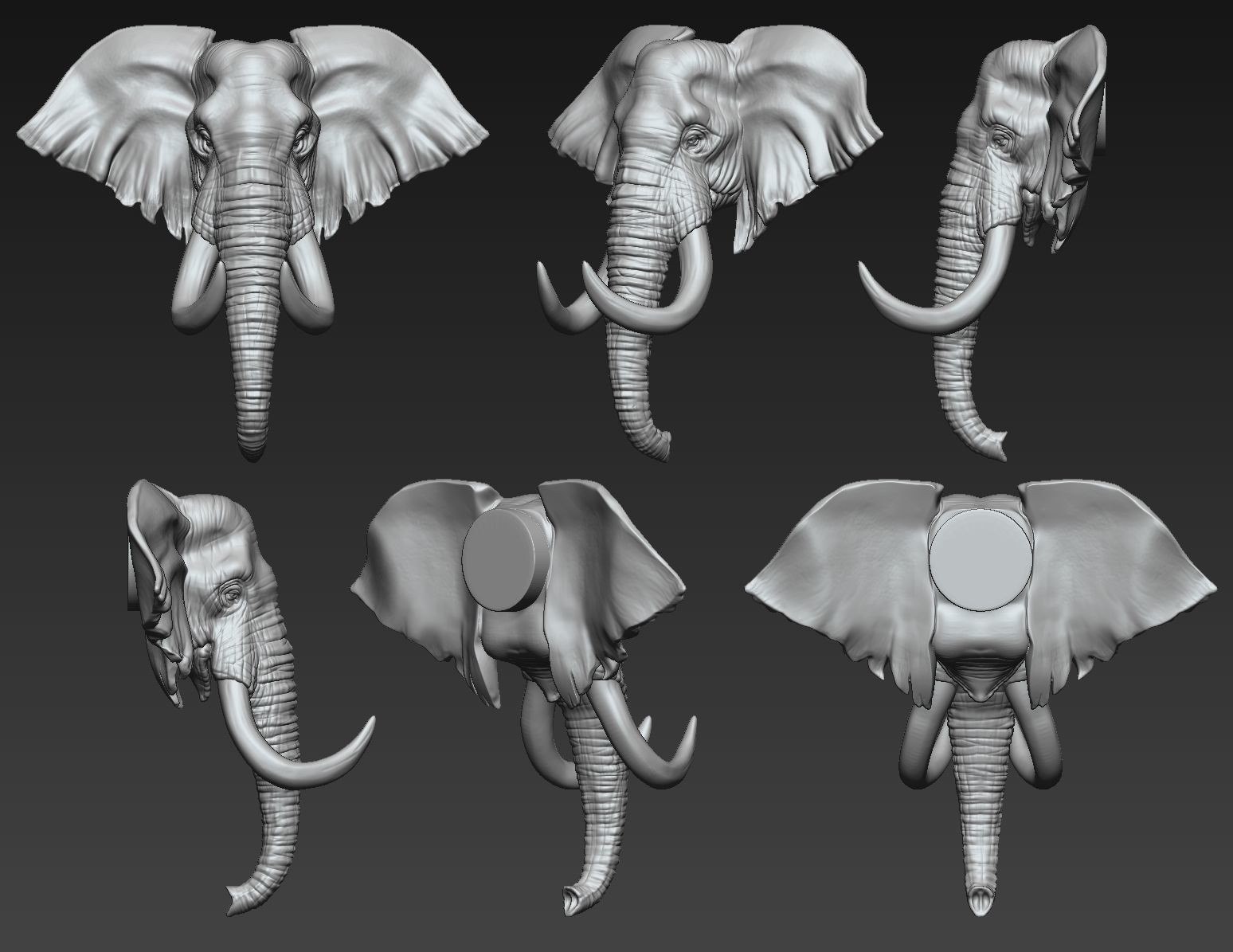 Elephant Head  Two Stye 3D print model_4