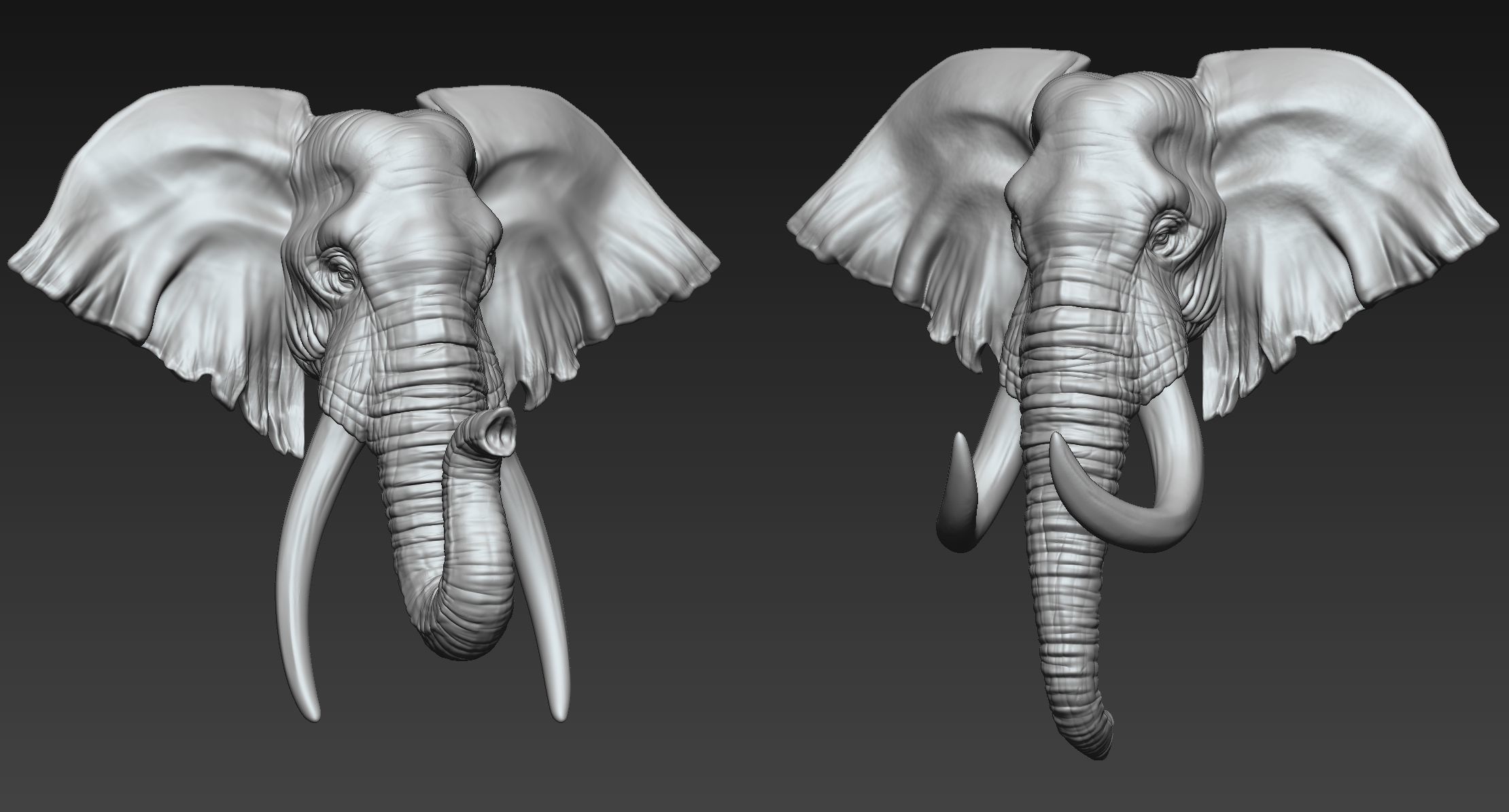 Elephant Head  Two Stye 3D print model_1
