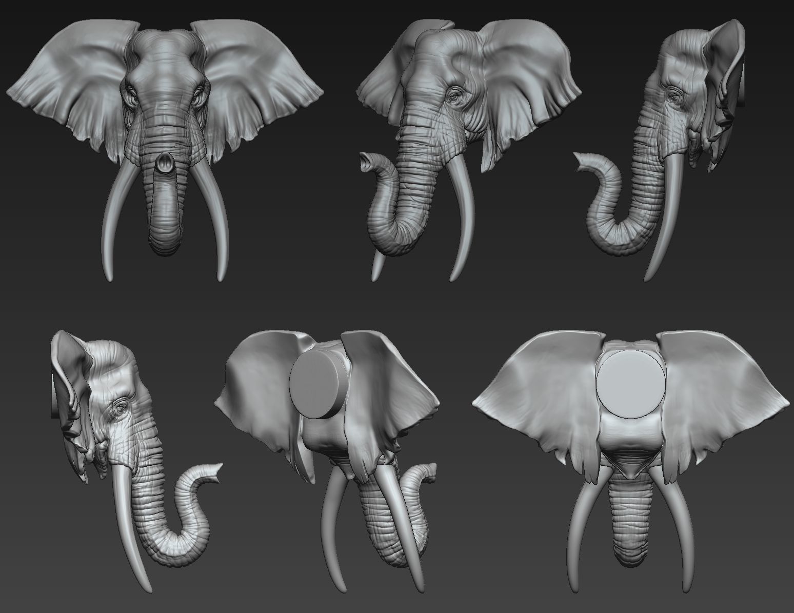 Elephant Head  Two Stye 3D print model_3