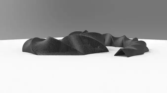 Pavilion pair of braided hair clips