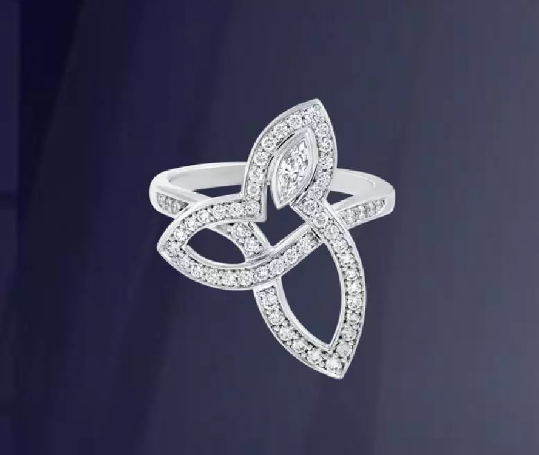 female ring 3D print model