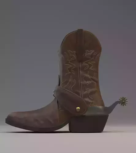 Cowboy Boot