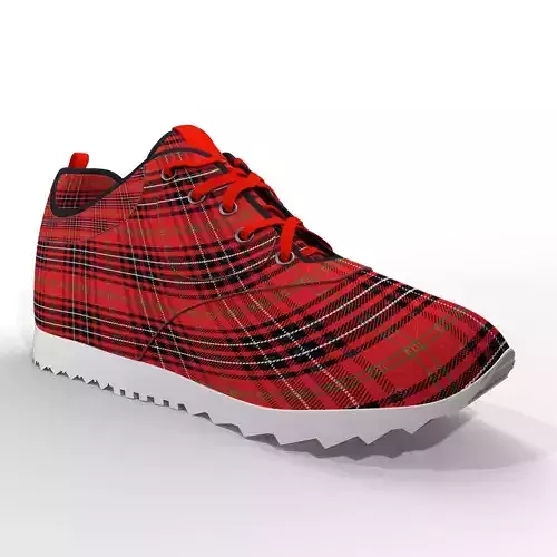 Vittel Shoe 3D model
