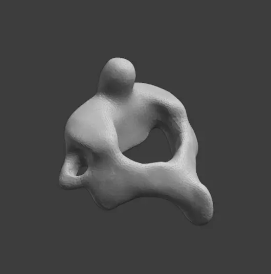 Axis C2 vertebra 3D print model