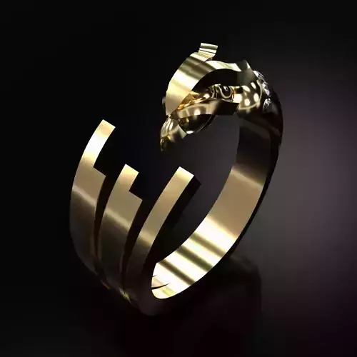 Condor Ring 