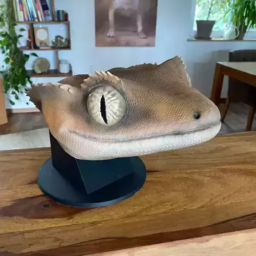 Crested Gecko Correlophus ciliatus-STL- 3D print models 3D print model