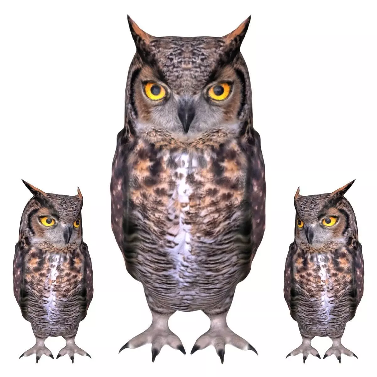 Horned owl Low-poly 3D model_0