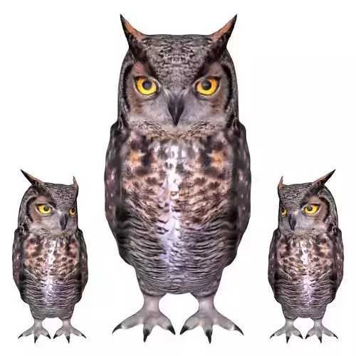 Horned owl Low-poly 3D model
