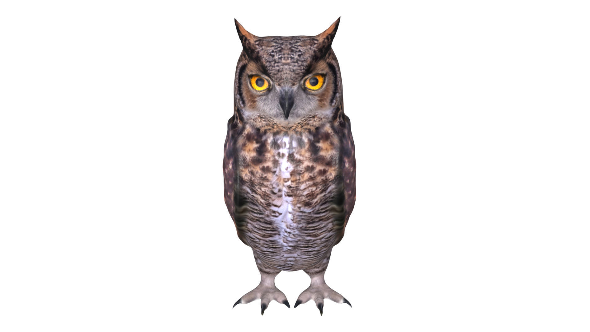 Horned owl Low-poly 3D model_1