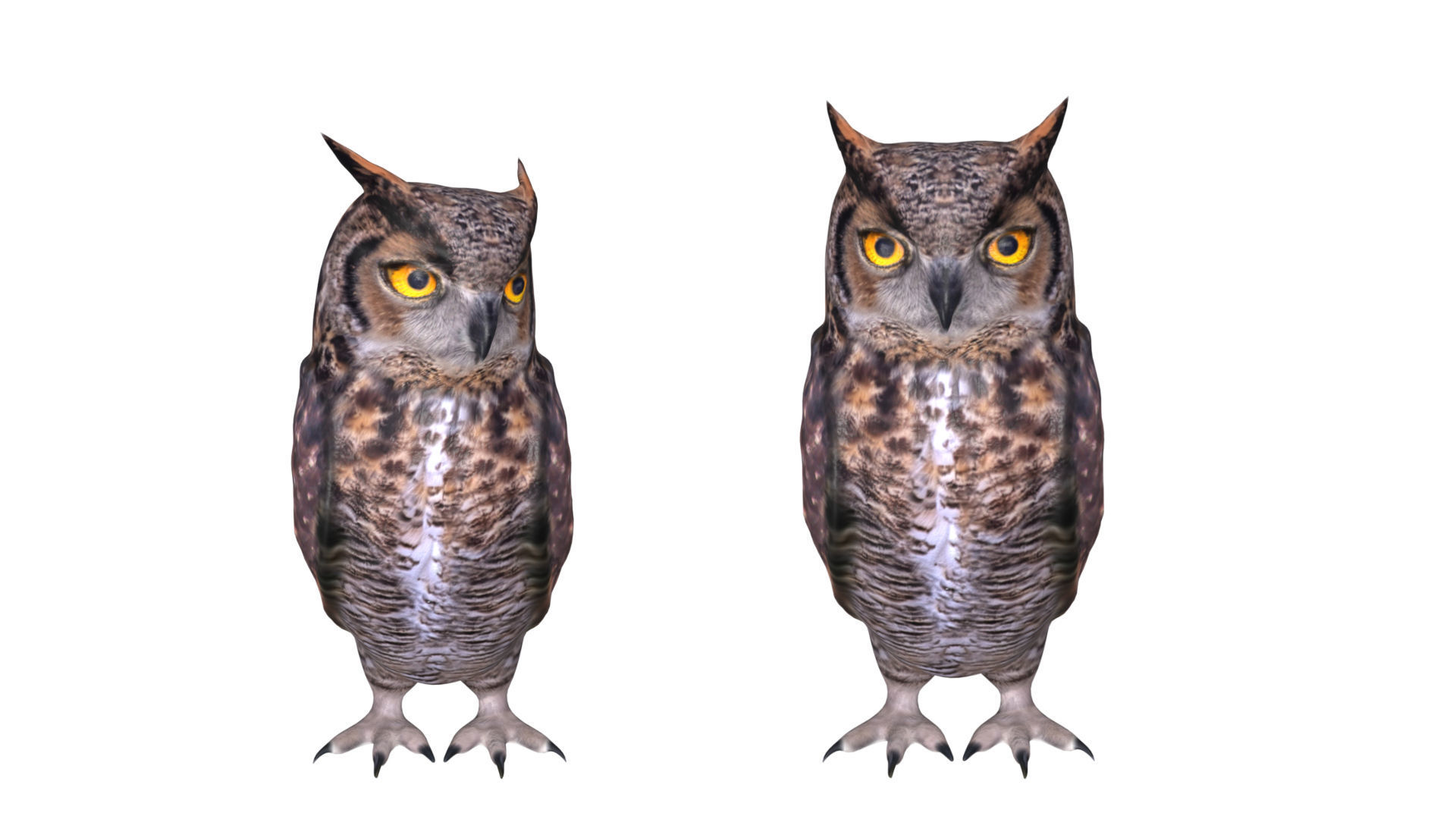 Horned owl Low-poly 3D model_7