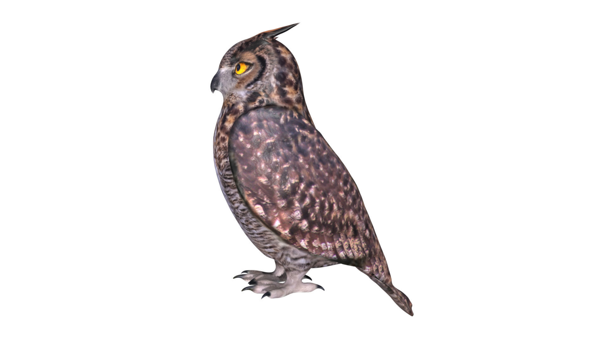 Horned owl Low-poly 3D model_6