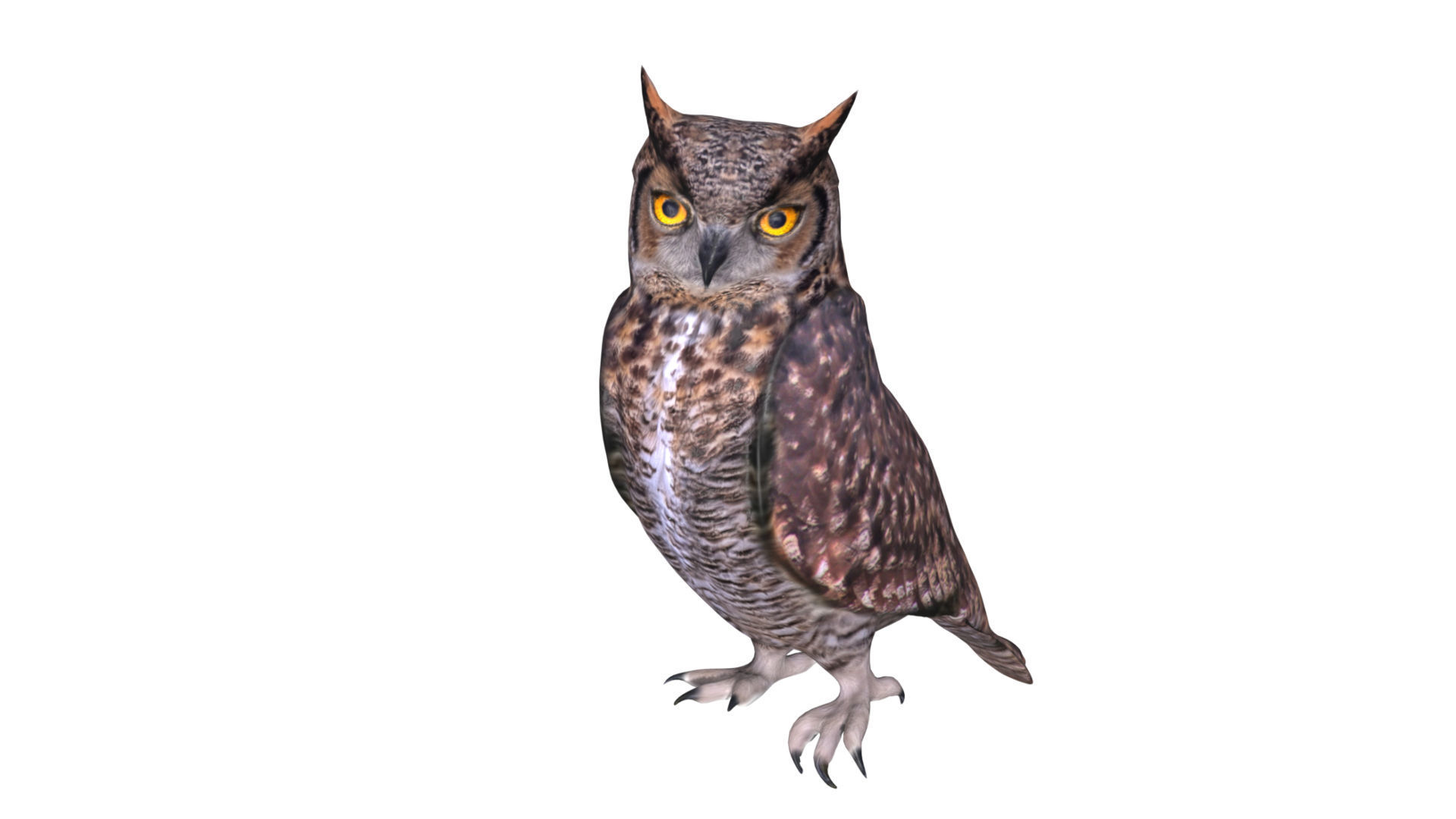 Horned owl Low-poly 3D model_5