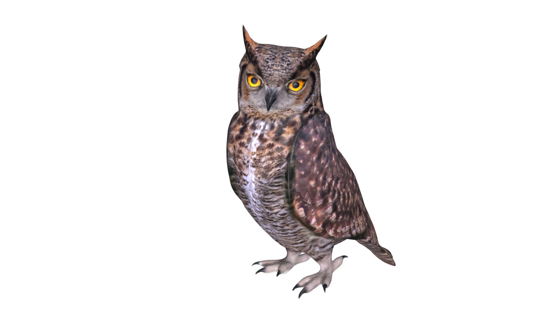 Horned owl Low-poly 3D model_4