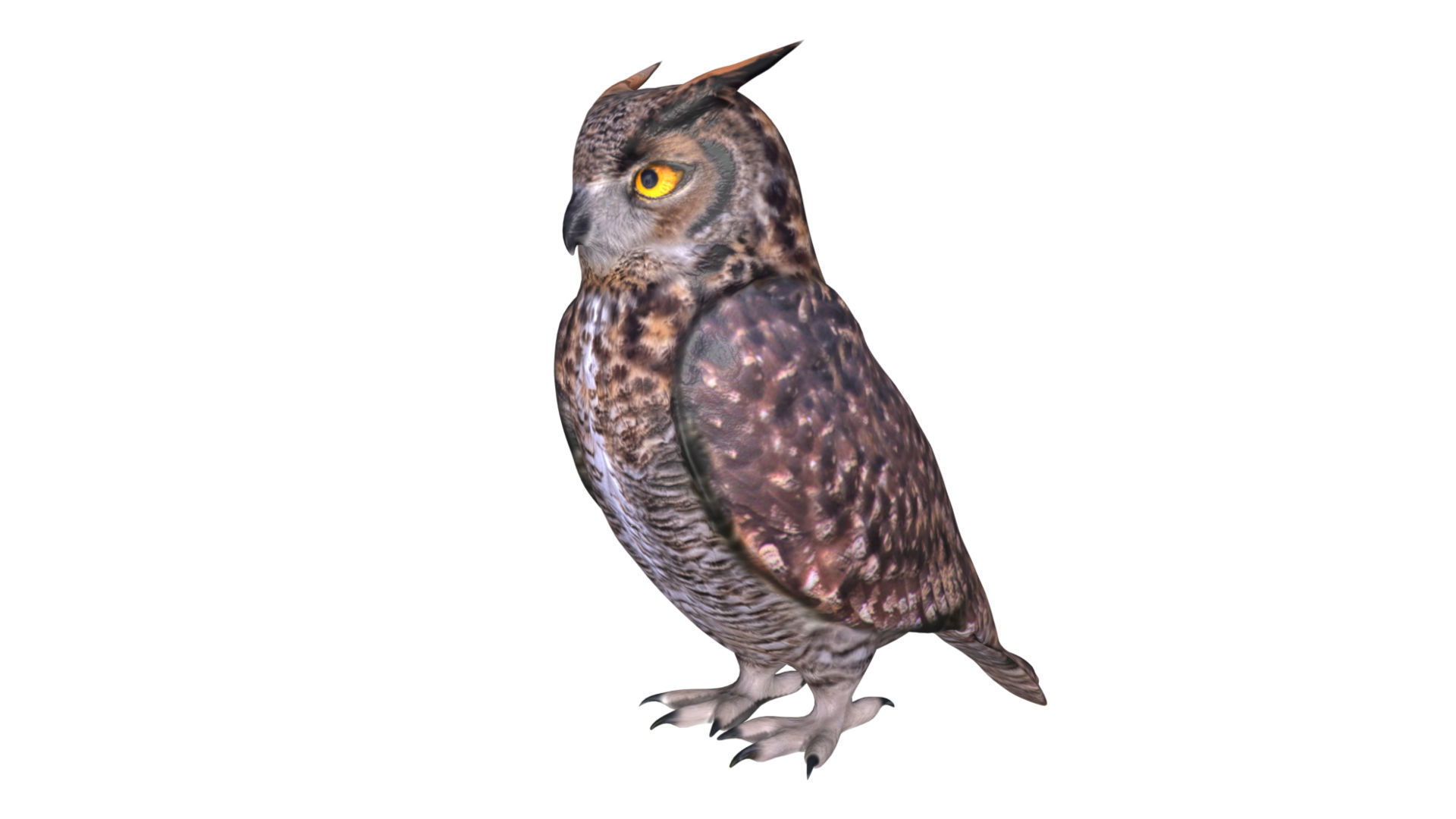 Horned owl Low-poly 3D model_3