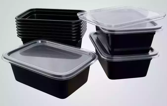 Reusable Lunch Box Container - Disposable 3D model