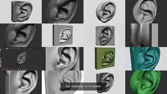 Ear Collection v2 