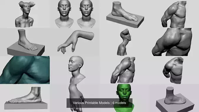 Various Printable Models 3D Model Collection