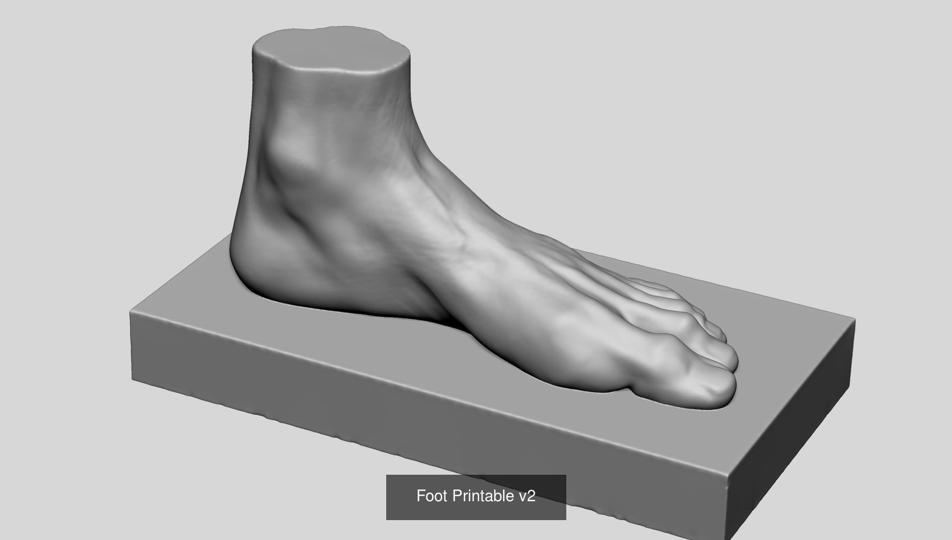 Various Printable Models 3D Model Collection_3