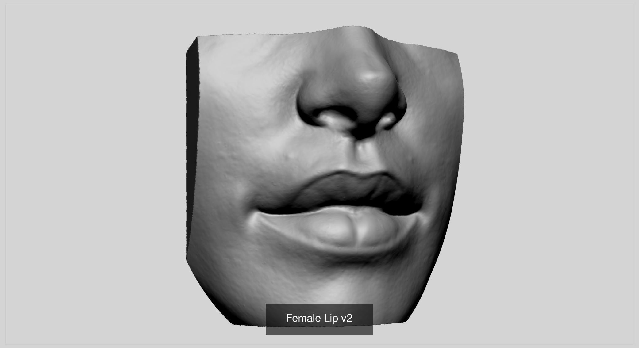 Various Printable Models v2 3D Model Collection_6