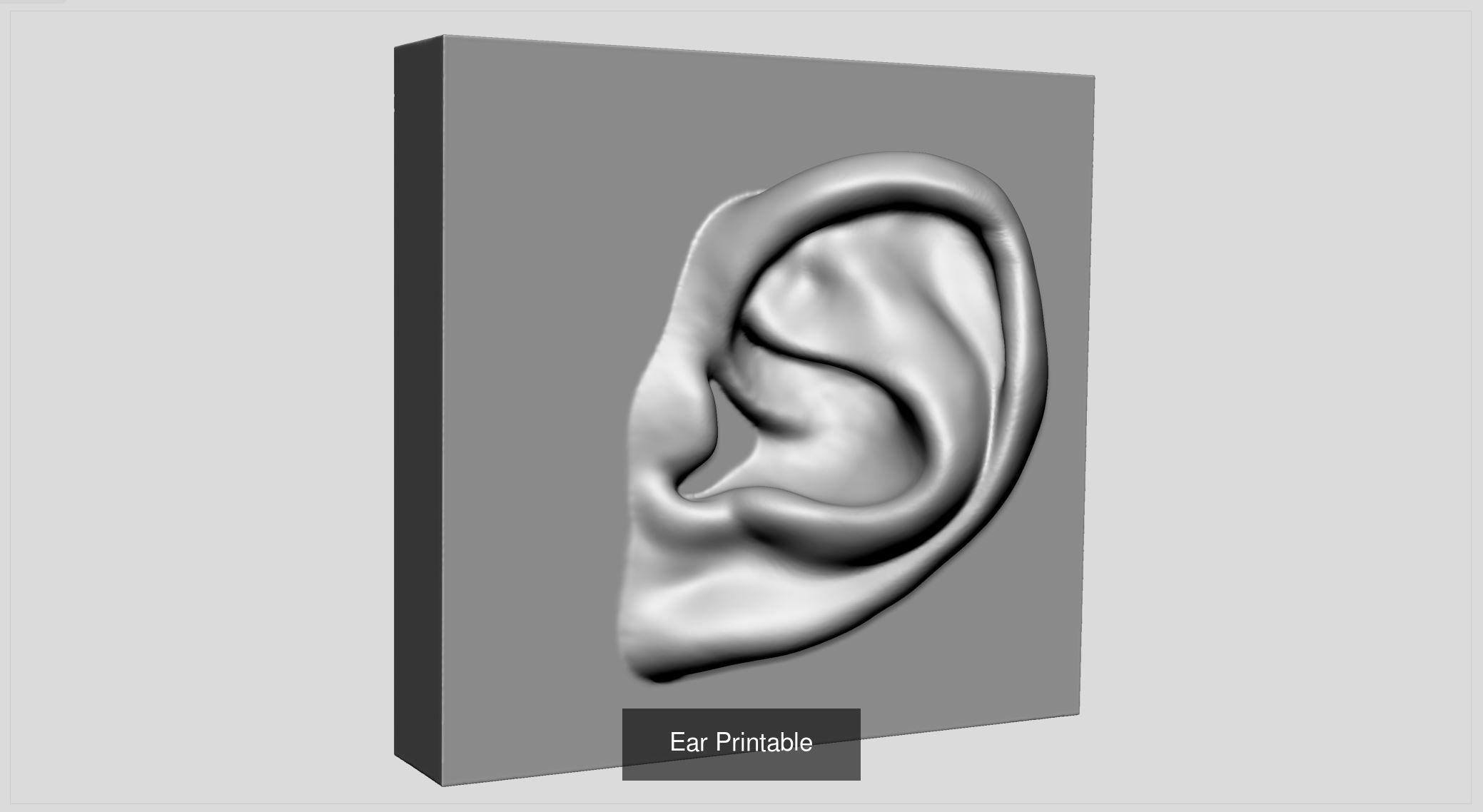 Various Printable Models v2 3D Model Collection_1