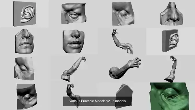 Various Printable Models v2 3D Model Collection