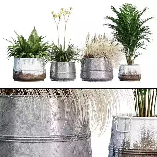 Cowden two metal planters
