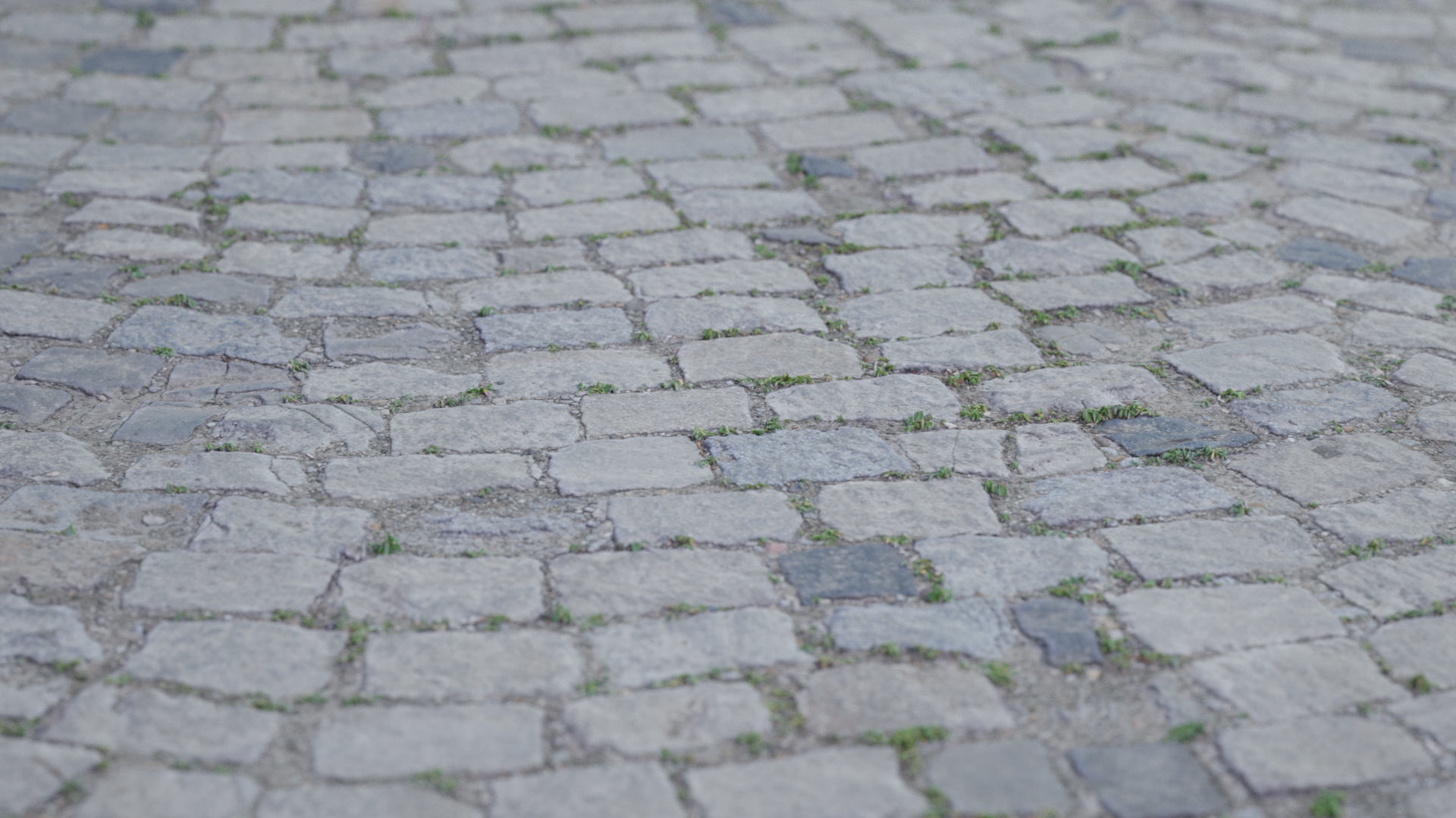 Cobblestone Rock Road Scan Low-poly 3D model_8