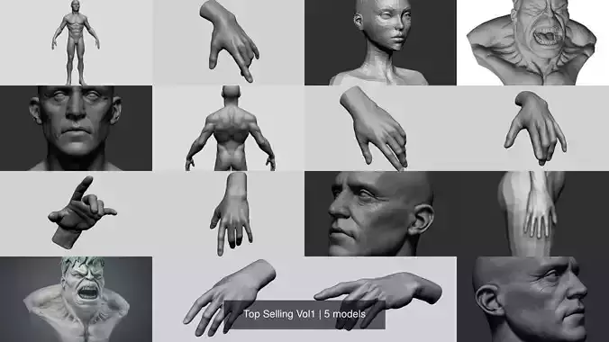 Top Selling Vol1 3D Model Collection