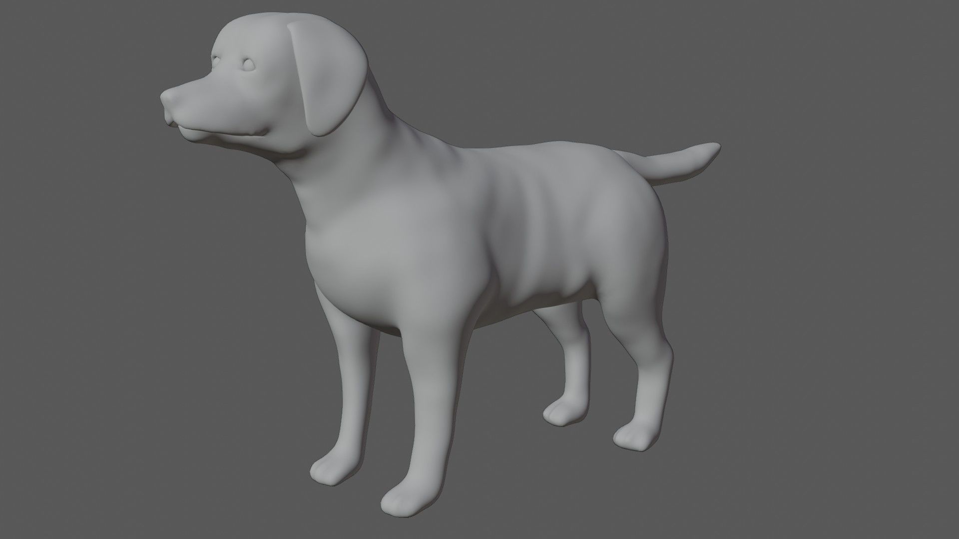 Labrador retriever Low-poly 3D model_6