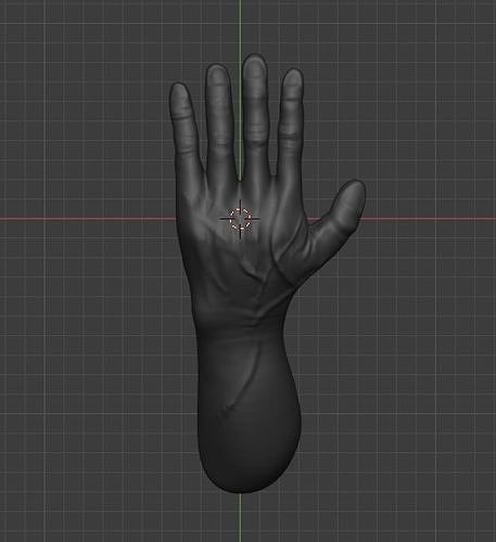 human hand Free 3D print model