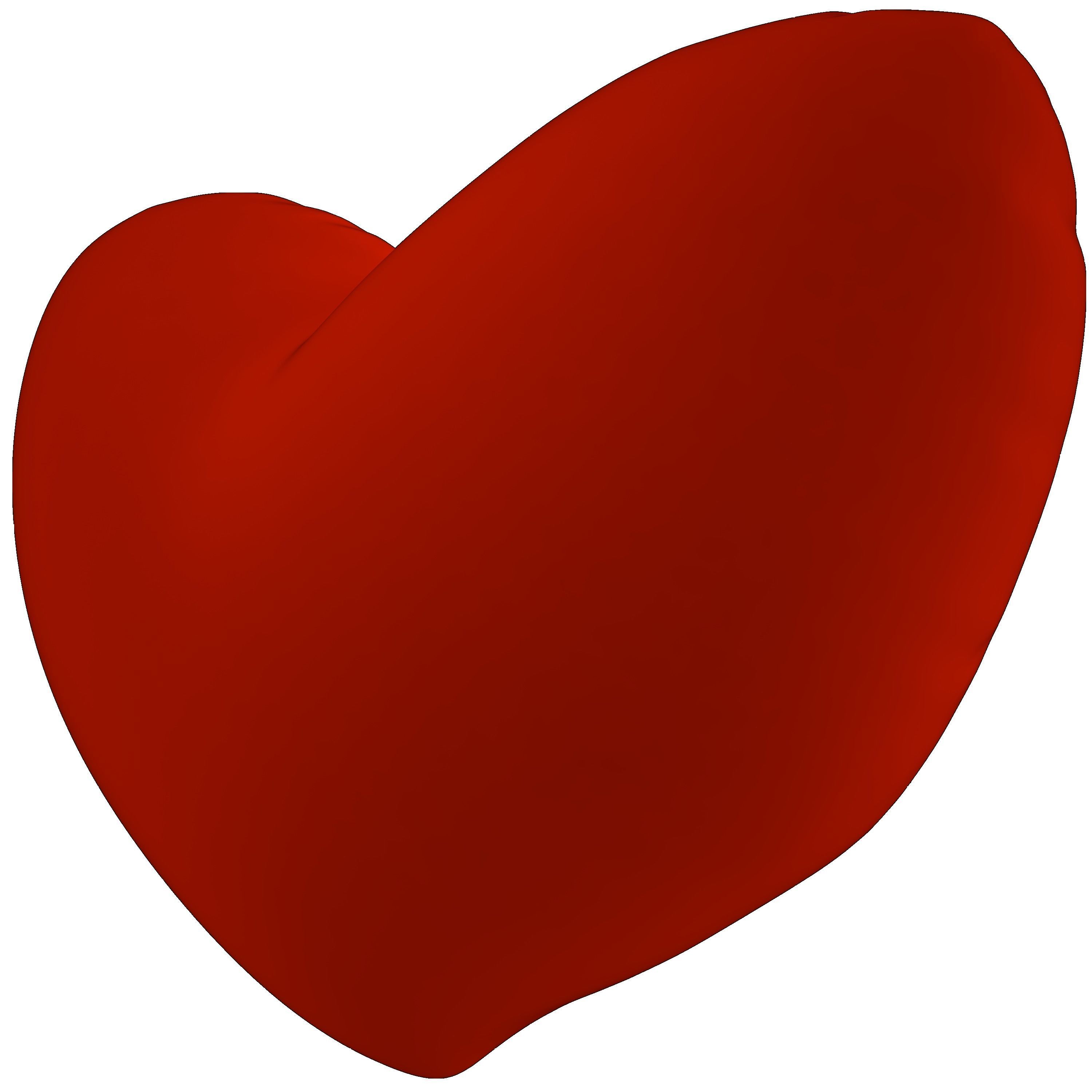 Heart Balloon 3D model_17