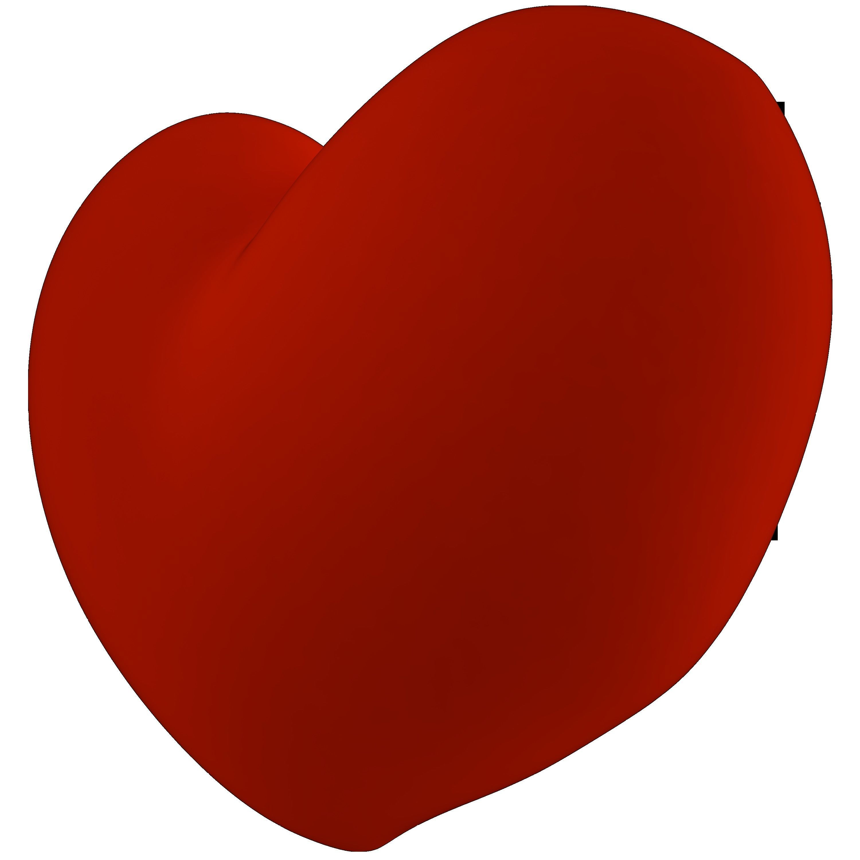 Heart Balloon 3D model_23