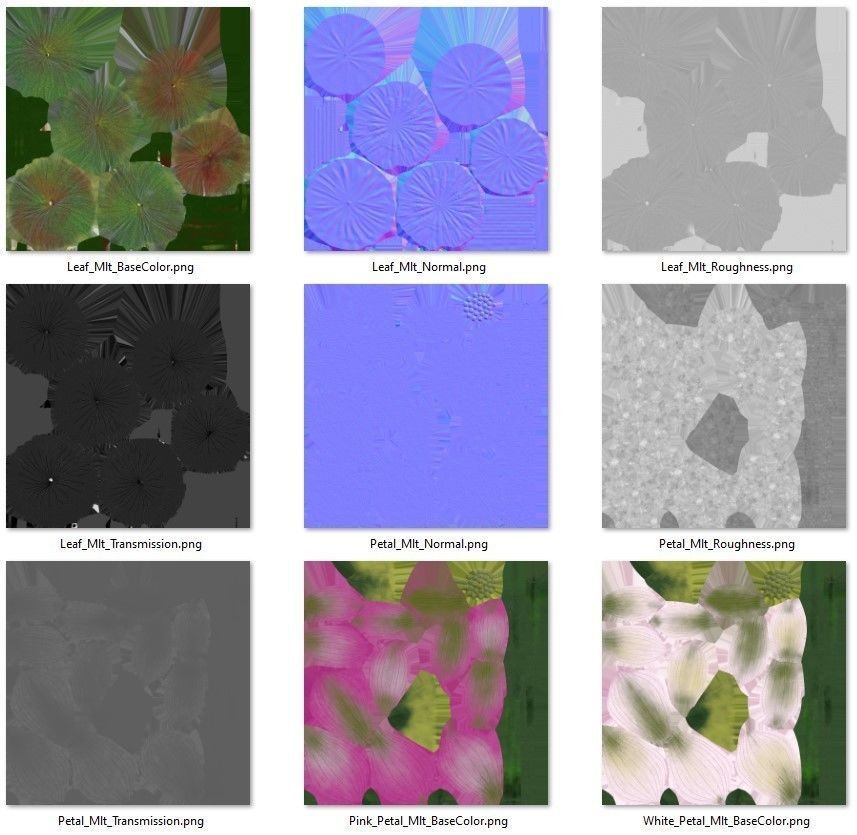 Realistic Lotus Art Low-poly 3D model_16