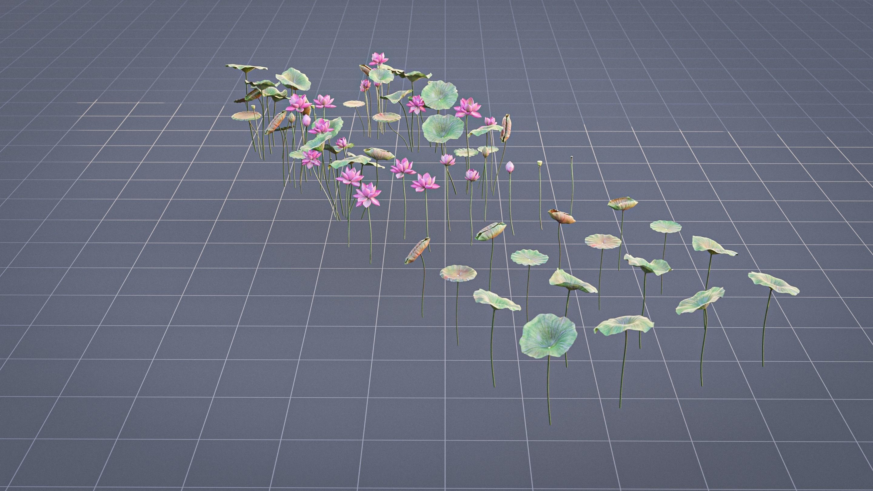 Realistic Lotus Art Low-poly 3D model_12