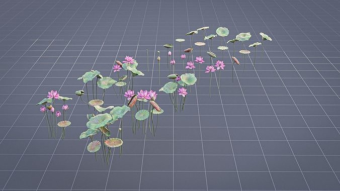 Realistic Lotus Art Low-poly 3D model 4