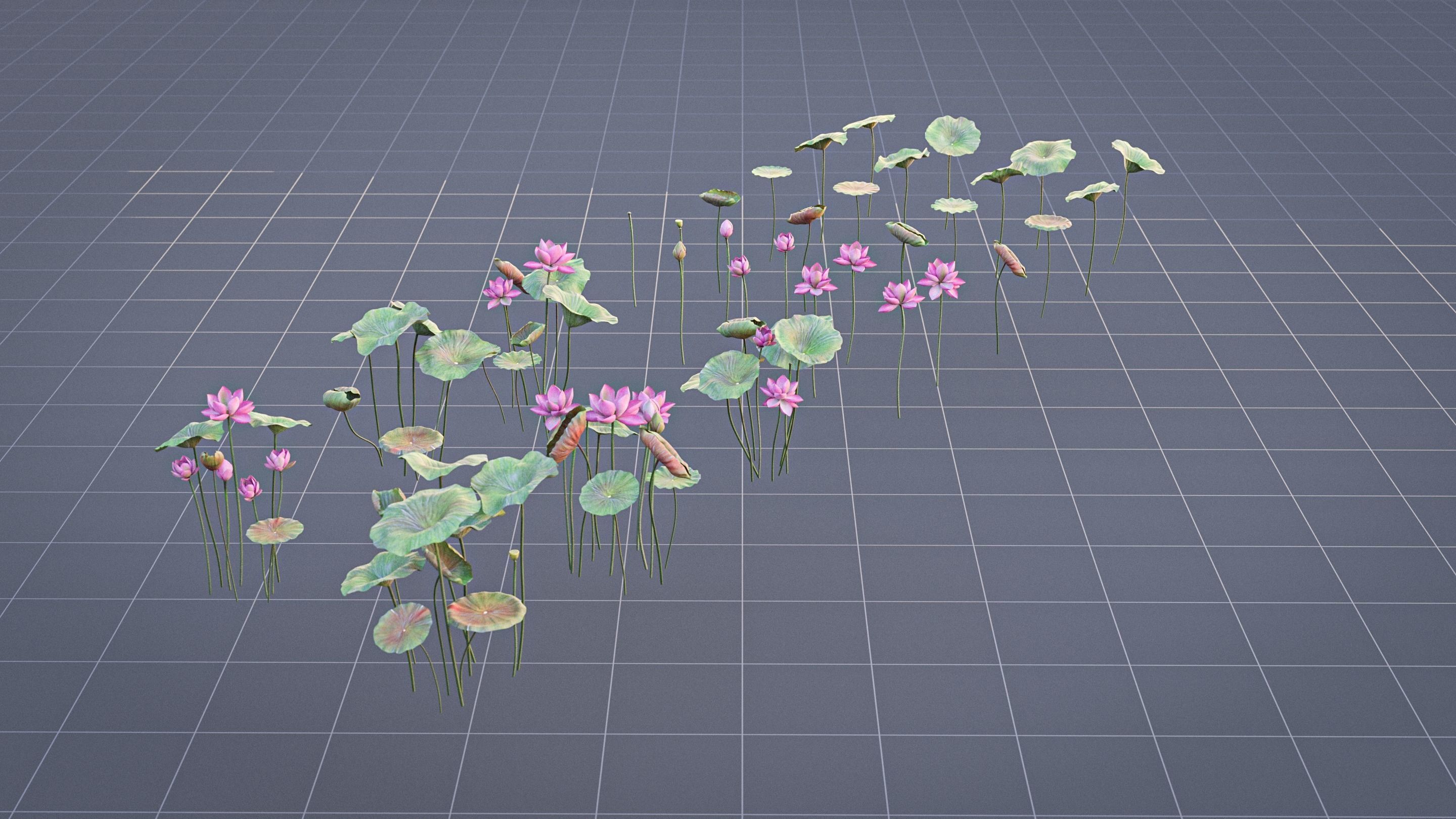 Realistic Lotus Art Low-poly 3D model_4