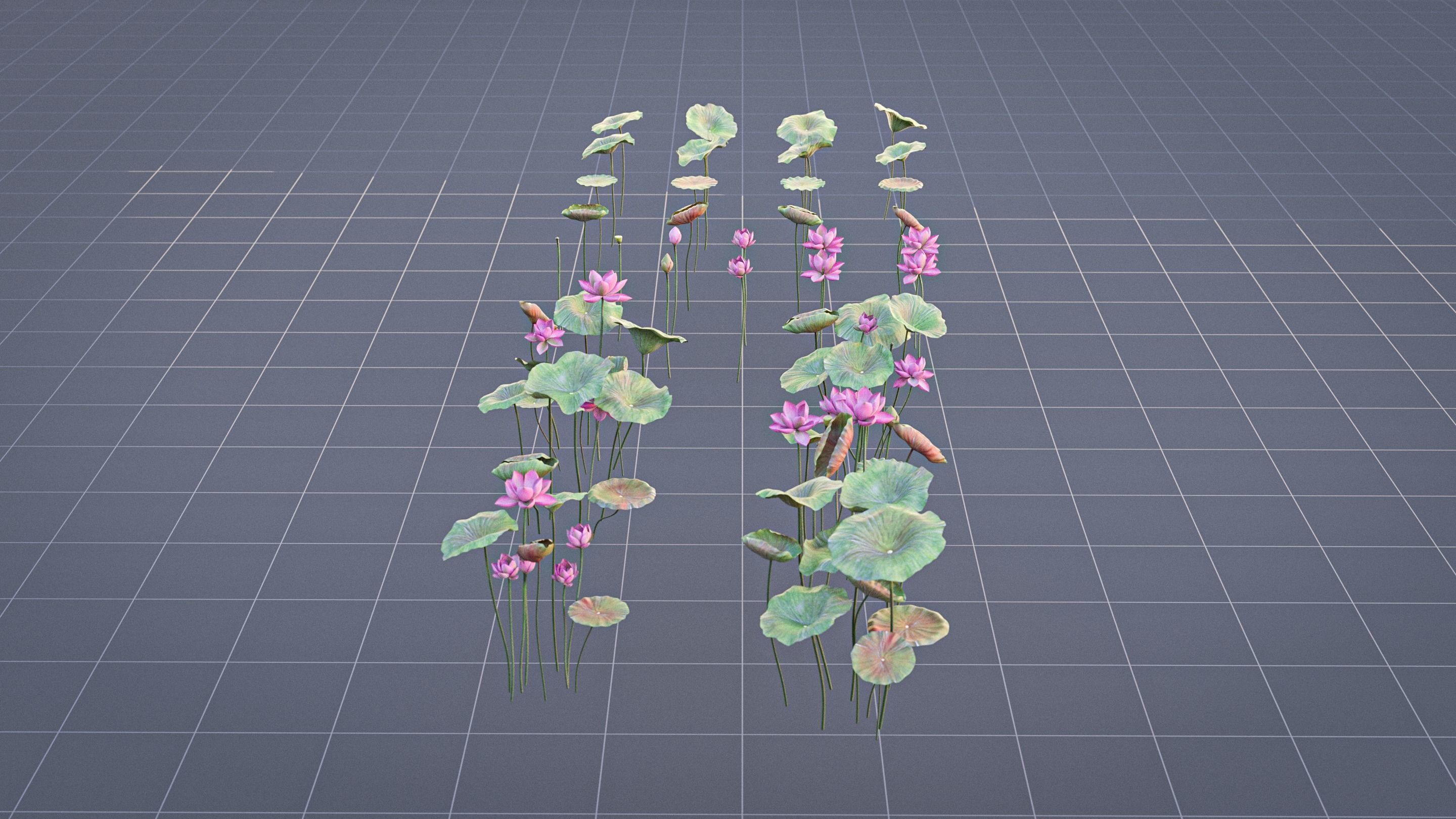Realistic Lotus Art Low-poly 3D model_5