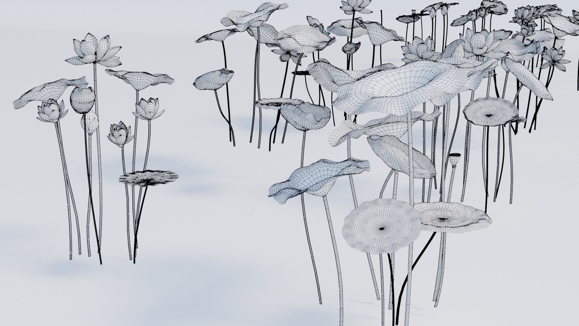 Realistic Lotus Art Low-poly 3D model_15