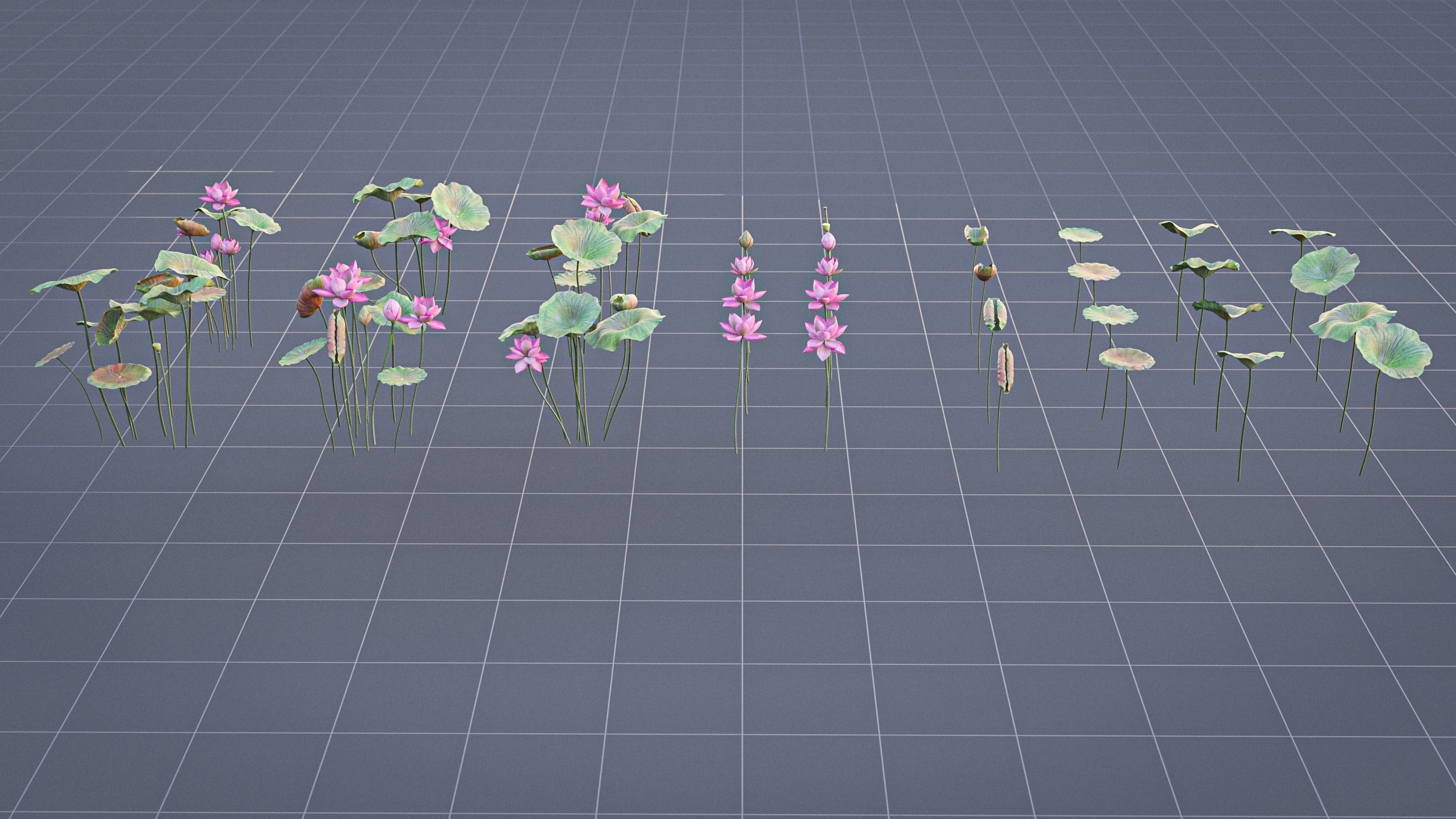 Realistic Lotus Art Low-poly 3D model_2