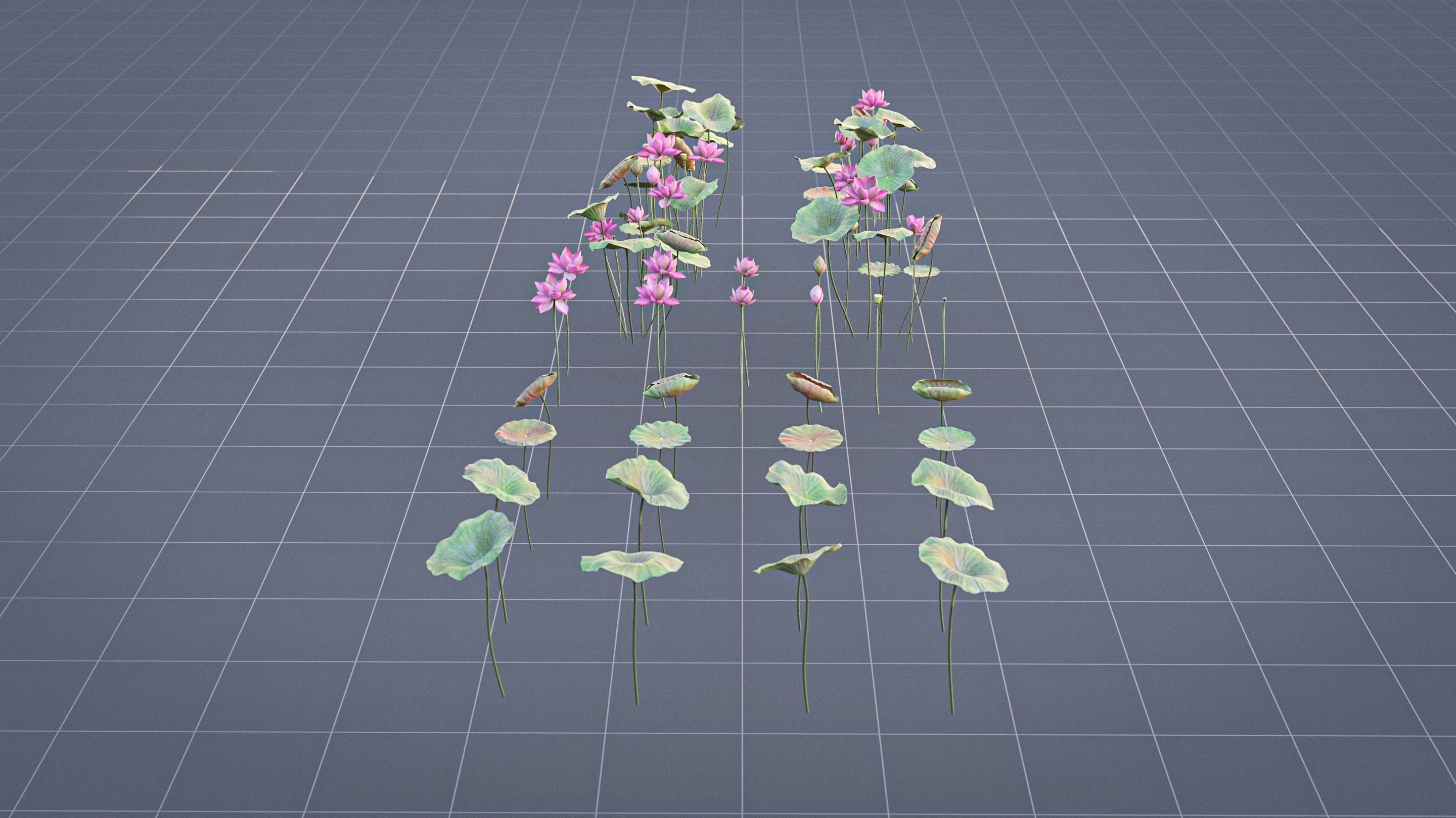Realistic Lotus Art Low-poly 3D model_11
