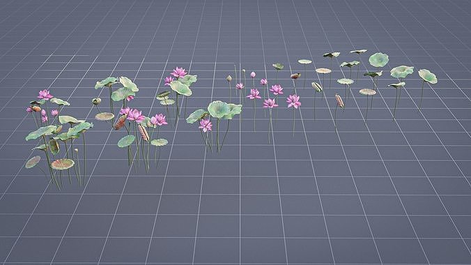 Realistic Lotus Art Low-poly 3D model 3