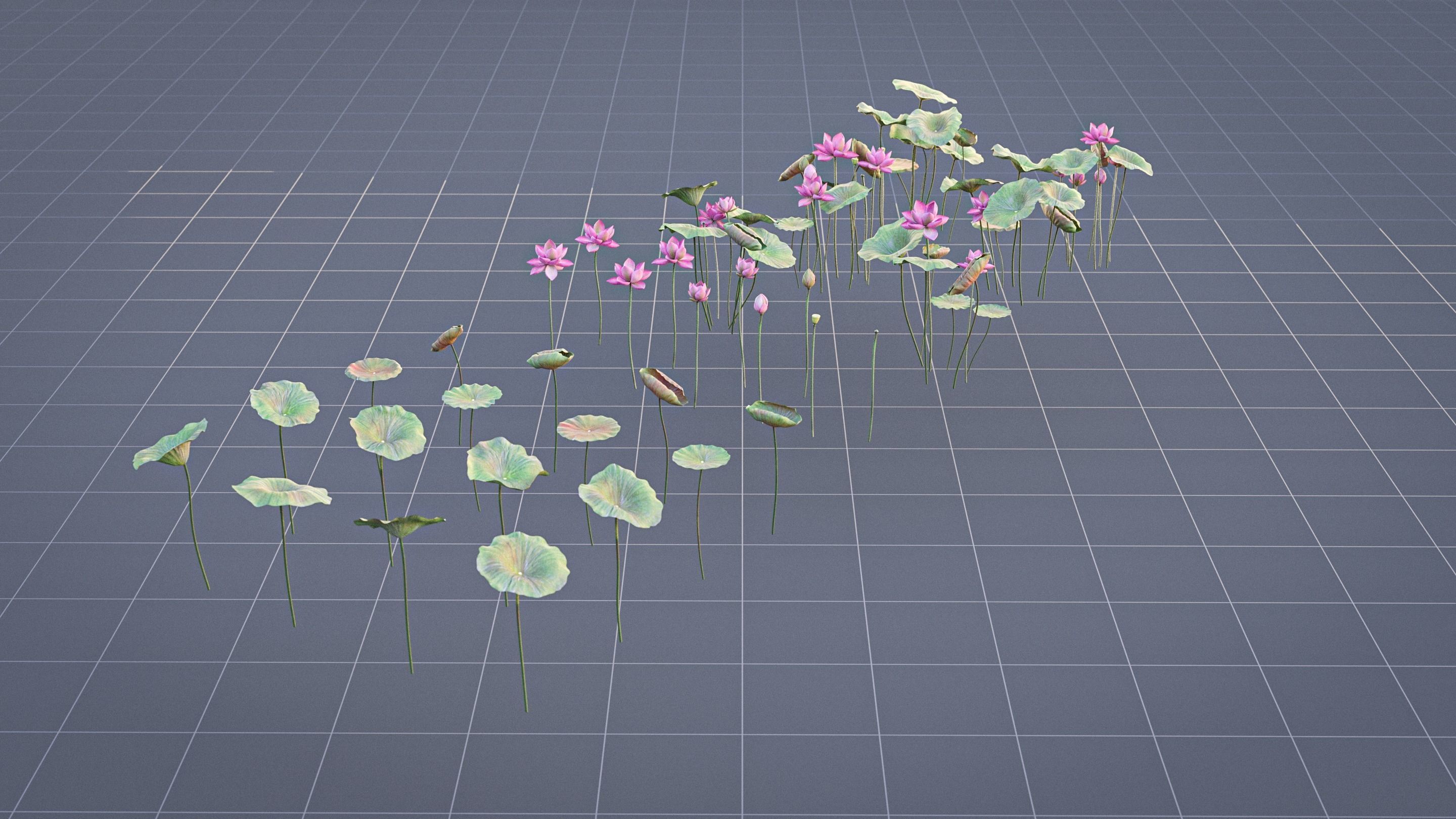 Realistic Lotus Art Low-poly 3D model_10