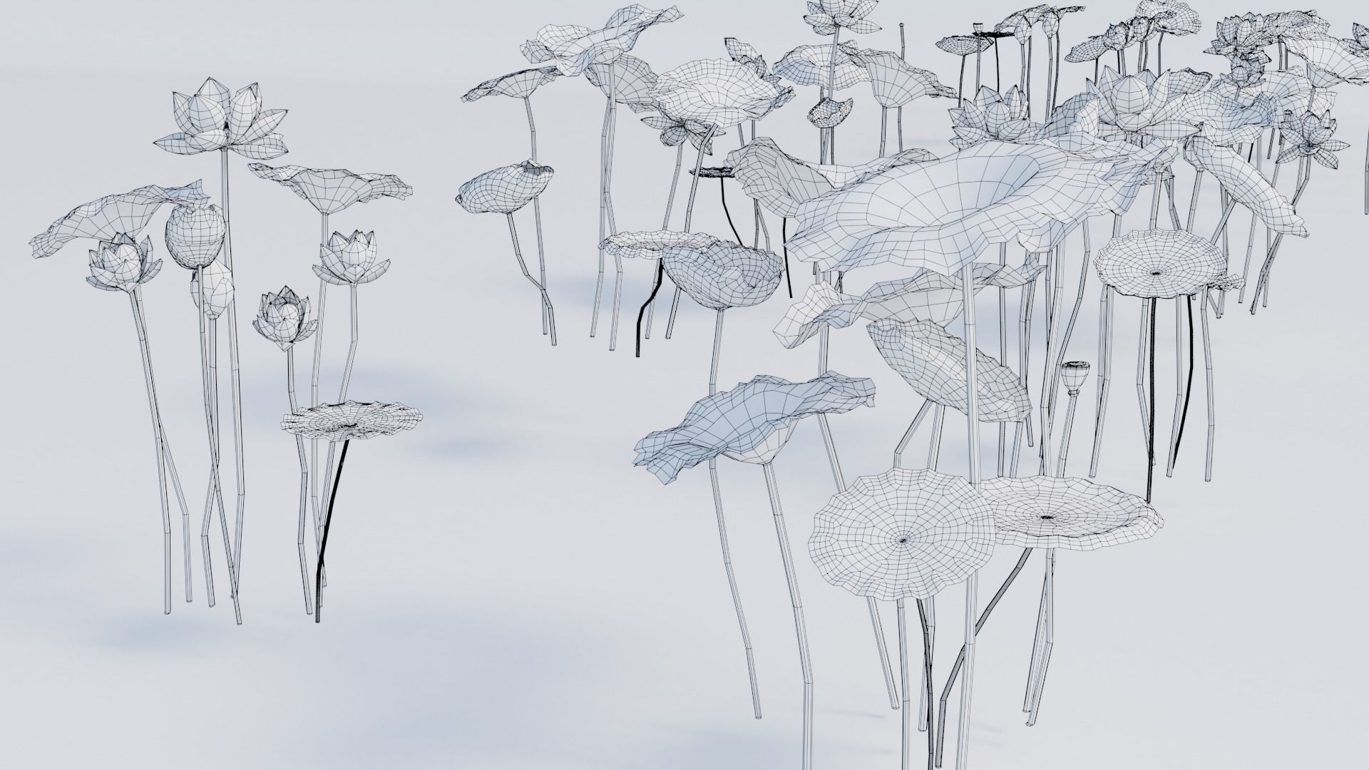 Realistic Lotus Art Low-poly 3D model_14