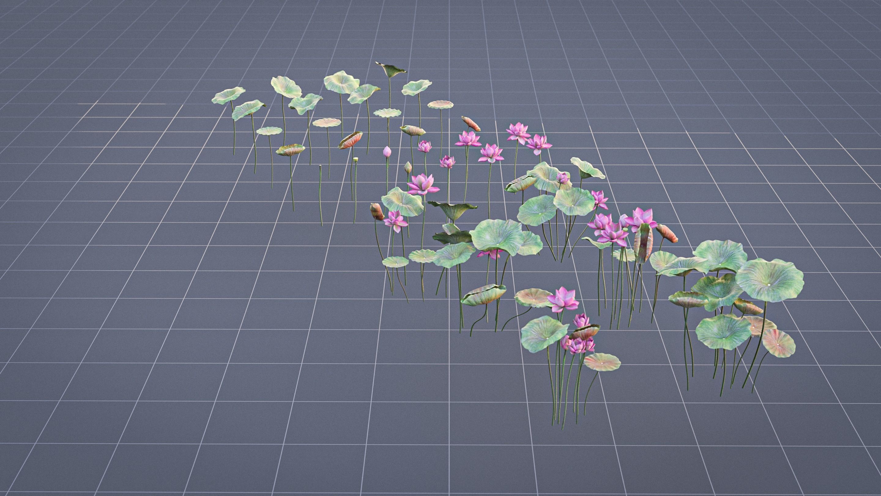 Realistic Lotus Art Low-poly 3D model_6