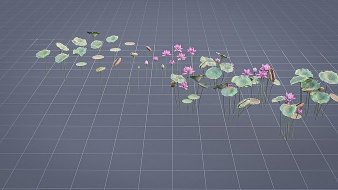 Realistic Lotus Art Low-poly 3D model 7