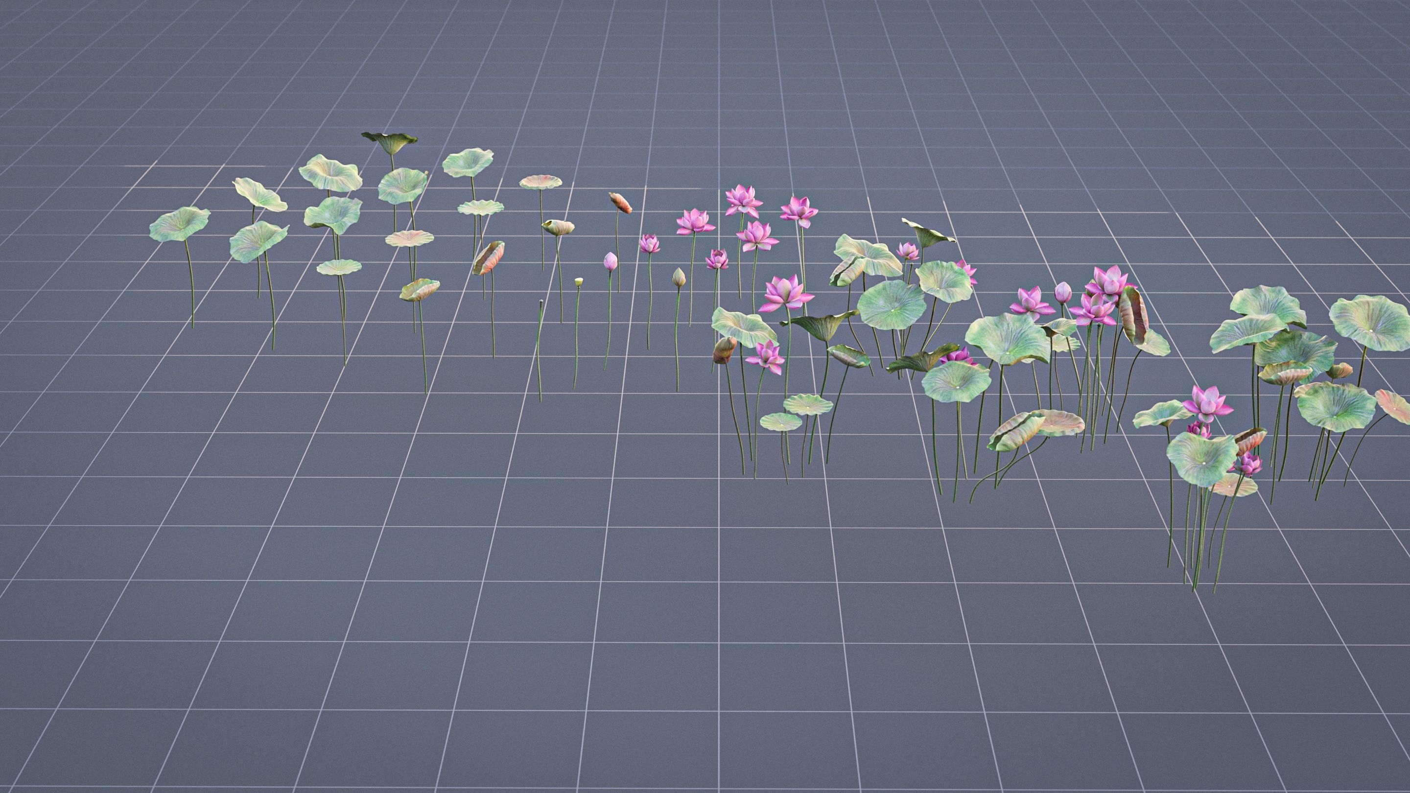 Realistic Lotus Art Low-poly 3D model_7